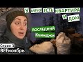 влог 3 / богатая жена... / приехали в село / что в нашем погребе / сестра Димы / наш домик закрыт /