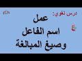 عمل اسم الفاعل و صيغ المبالغة درس لغوي الثالثة ثانوي إعدادي 