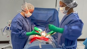 SSH SIMULATION WEEK 2022  ATENAS COLLEGE #HcSimWeek22