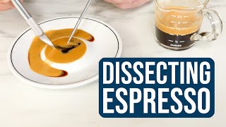 Dissecting Espresso Extractions: TDS, EY & More