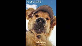 [𝗽𝗹𝗮𝘆𝗹𝗶𝘀𝘁] 🎶🐶 Cozy Puppy Vibes | 도파민 채워주는 감성 힙합 | 🎵 매장음악 | 카페음악 | 노동요 10h screenshot 5