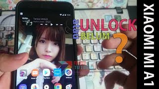 Cara Mudah Cek Status Bootloader Xiaomi Mi A1: Tidak Ada Mi Unlock Status Lagi di Pengaturan