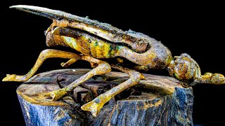 Very Beautiful and Rare find 1900s - Restoration ASMR