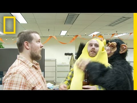 Happy Halloween From Nat Geo | National Geographic