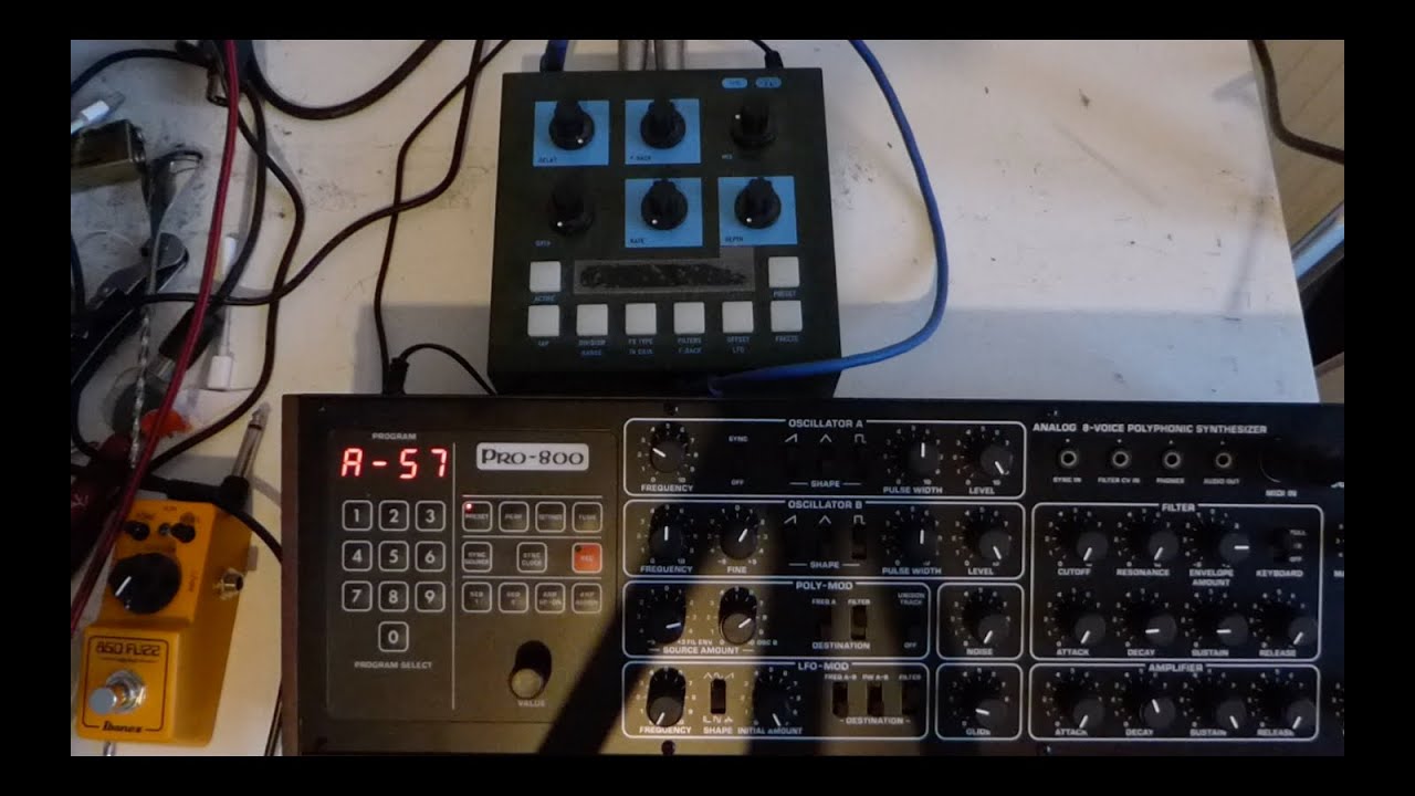 Behringer Pro 800 & OTO Machines BIM - YouTube