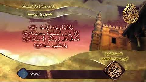 سورة النبأ | تلاوة من الصلاة بصوت الشيخ الحويني