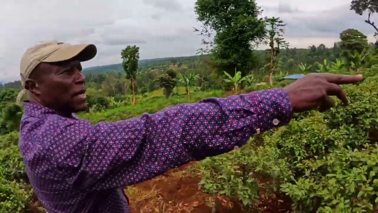 THE FAMOUS-PRODUCTIVE FARM IN EMBU | CALL IT THE LAND OF MILK AND HONEY, SURROUNDED BY RIVERS#travel