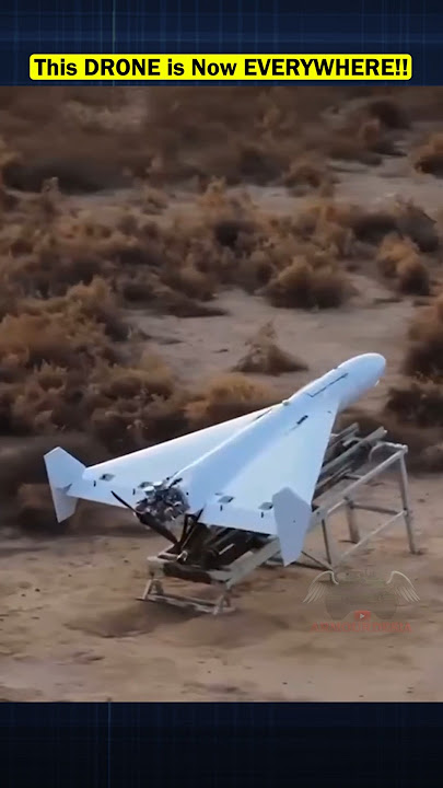 Shahed-136 Clone? Meet China’s New Loong M9 Kamikaze Drone!