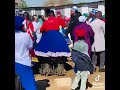 Mogobo Mogobo