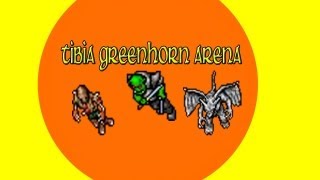 Tibia Greenhorn arena Harmonia