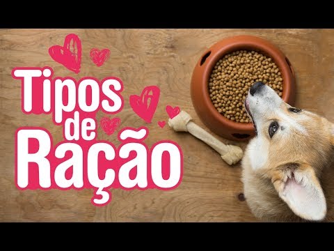 Vídeo: Diferenças Nutricionais Para Cães De Raças Pequenas, De Brinquedo E Grandes