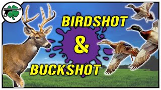 Shotgun Shells Explained Birdshot Buckshot Slugs For Sport & Hunting