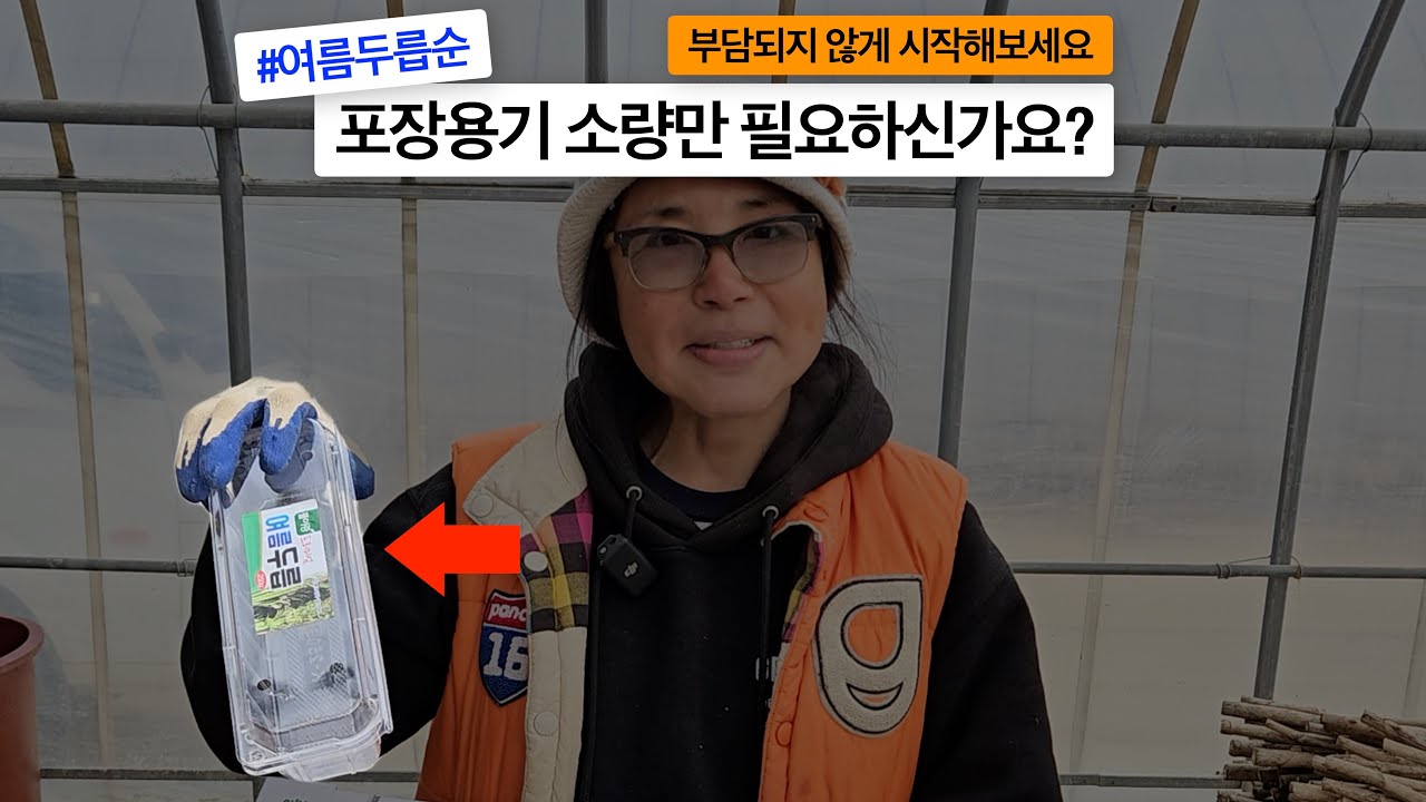 여름두릅순 오가피순 포장재 직거래 농가소개