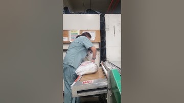 Wrapping Area/Production Worker in Canada // Manding Celia #shortvideo #shorts #youtubeshorts #video