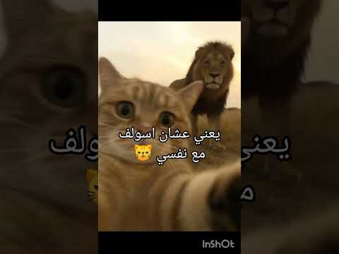 مزه بلاك بينك في الحارة بيبي مونستر ممونستي بلينك أحبكم لايك وشتراك