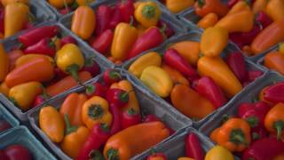 Farm On Ogden Development