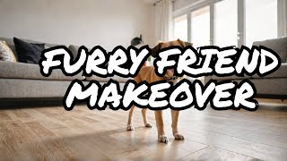 5 Essential Dog-Friendly Features Every Pet Owner Needs in 2025!
