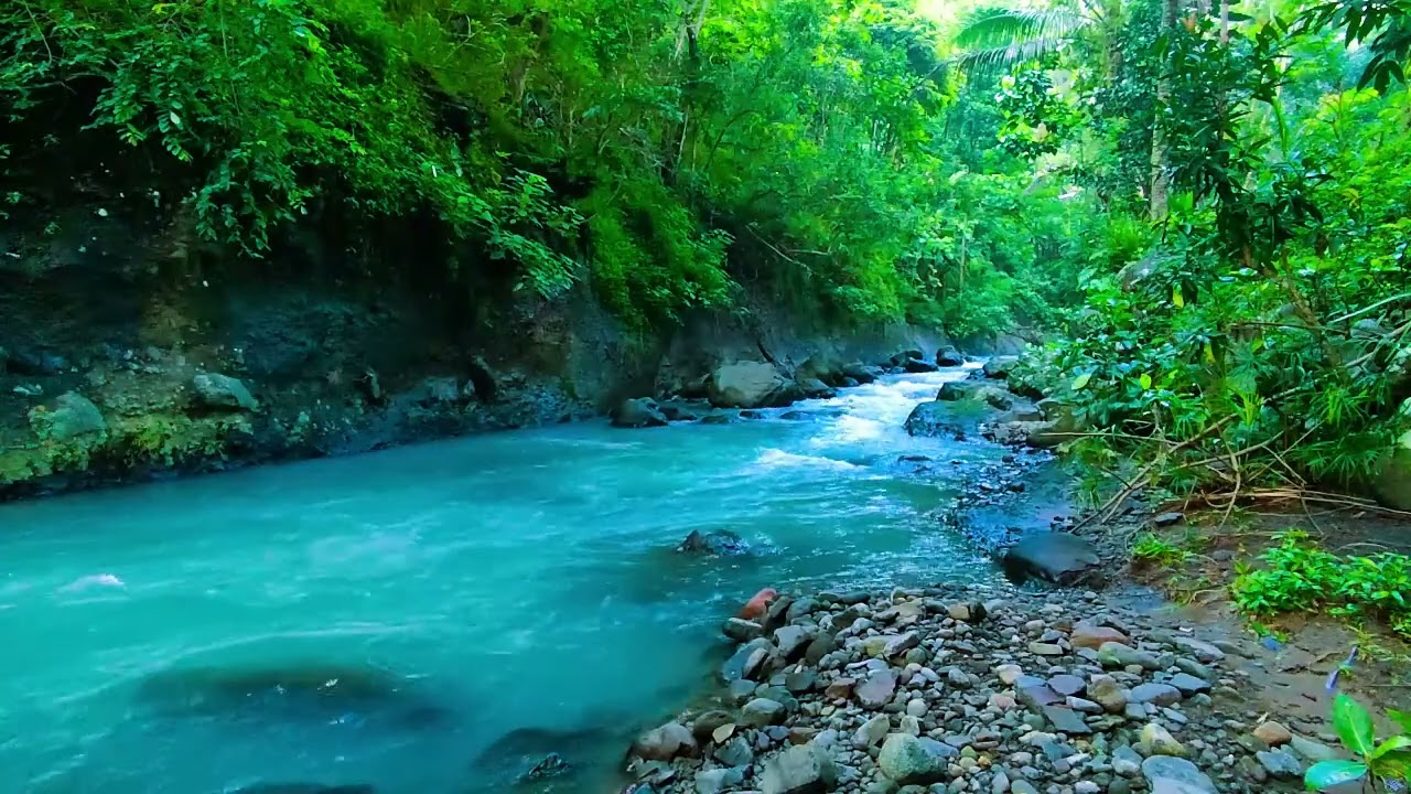 == Fall Asleep - Soothing Water Stream Sounds and Gentle River Flow