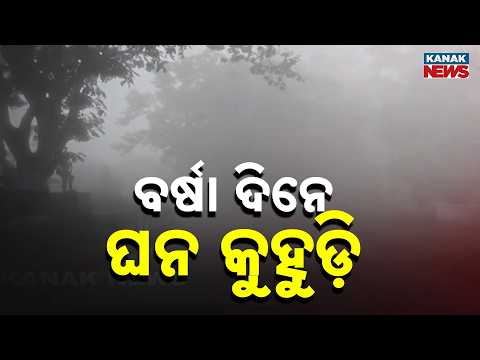 Rare Monsoon Fog in Odisha Amazes Tourists | Tensa Becomes Nature's Paradise