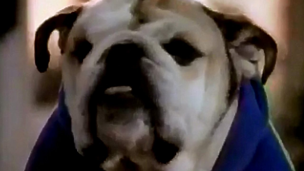 Purina Lucky Dog Foods MaKe Your Dog Lucky Today 1990 TV Commercial HD