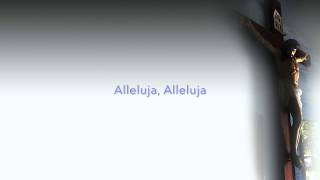 Video thumbnail of "Alleluja - Piosenka dla rodziców - z tekstem"