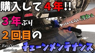 購入して4年!!3年ぶり2回目のチェーンメンテナンス【水没したDS250復活への道 第一弾】/ﾄﾞﾗｯｸﾞｽﾀｰ250/整備動画/Motovlog