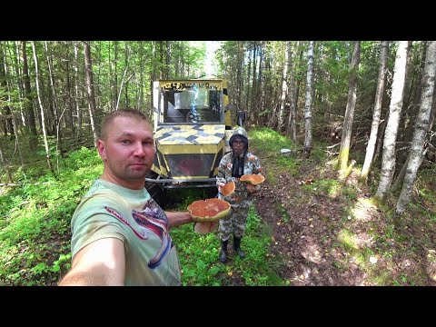 Видео: ТАЁЖНАЯ ЖИЗНЬ. ГОТОВИМ на КОСТРЕ. ТРИ НОЧИ в ИЗБЕ. С ДОЧКОЙ на КОРДОН. Часть первая.