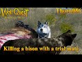 Killing a bison with a trial mate  wolfquest anniversary edition