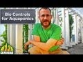 Biological Pest Control for Aquaponics