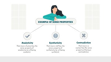 SENSE PROPERTIES AND STEREOTYPE  SEMANTIC - By Group 3