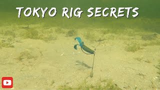 Tokyo Rig bass fishing. Insane underwater footage