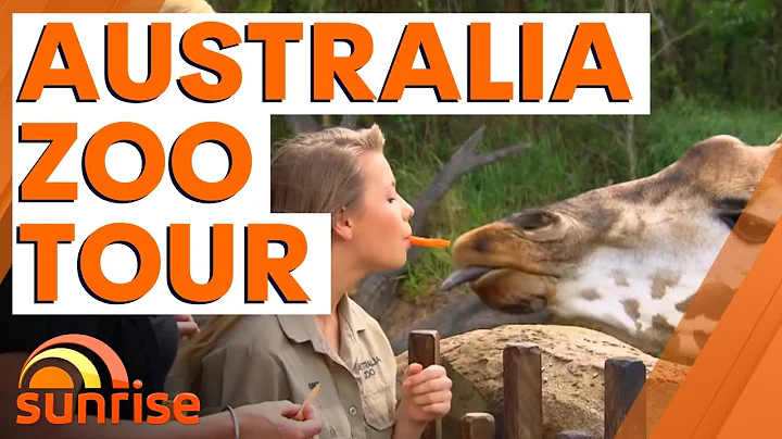 Bindi Irwin's guided virtual tour of Australia Zoo...