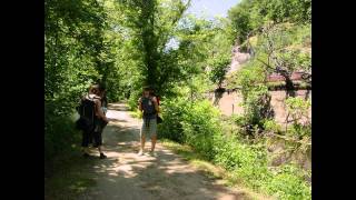 Flickr Photostream Pummelvision