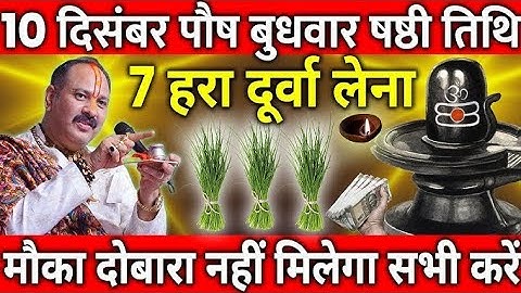 10 दिसंबर पौष बुधवार षष्ठी तिथि के दिन 7 हरा दूर्वा वाला उपाय जरुर करे || Pradeep Ji Mishra 
