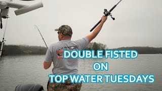 Topwater Tuesdays on Lake Lanier - Lake Lanier Striper Guide Jeff Blair