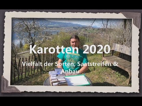 Video: Verschiedene Arten von Karottenpflanzen: Erfahren Sie mehr über verschiedene Arten von Karotten