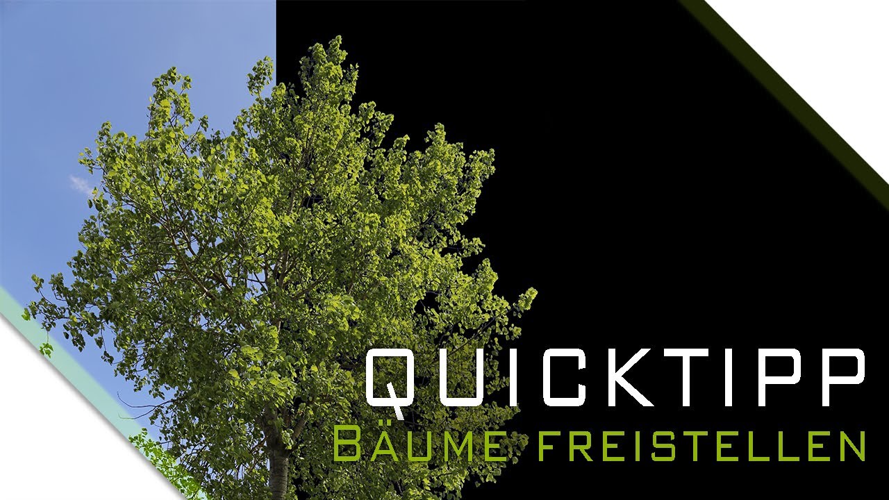 Photoshop Quicktipp 3 Baume Freistellen Ger Youtube