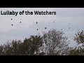 Lullaby Of The Watchers mp3