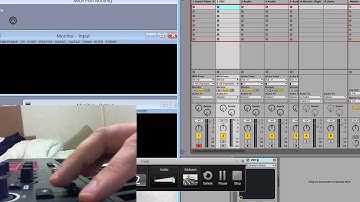 novation bug