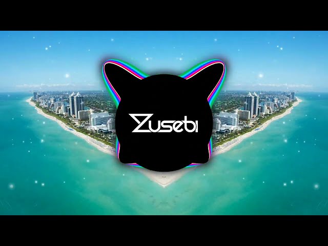 Loona - Vamos a la Playa (Zusebi Remix) [TikTok] class=