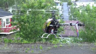 T-Rex 600 CF Hovering