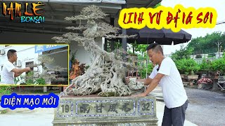 Linh Vũ Đằng Sơn 2023, Nam Lê vào dăm thay đổi diện mạo mới ! | NamLe Bonsai