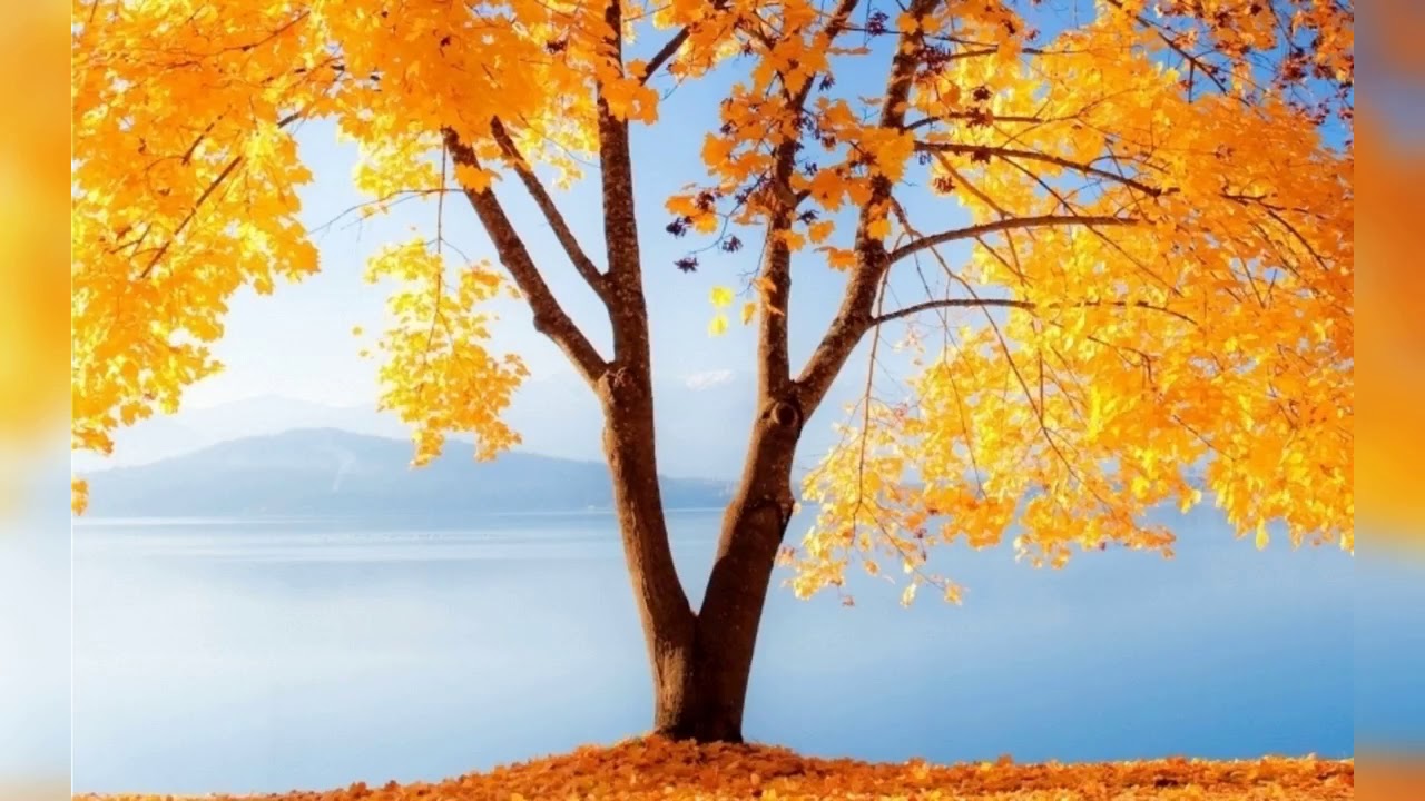 Le Fait De S'Occuper De Son Coeur - Ibrahim Abou Talha