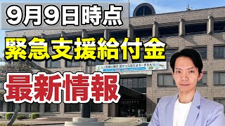 【緊急支援給付金】概要が明らかになりました。いつ支給されるのか、臨時特別給付金との相違点などについて解説します。