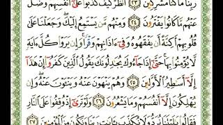 سورة الأنعام مكتوبة بصوت الشيخ ناصر علي القطامي