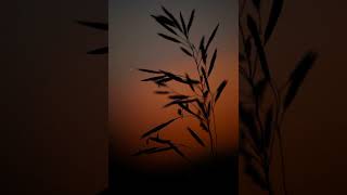 Kya Janu Sajan - Baharon Ke Sapne Song Cover By Sanjivni Lata Mangeshkar