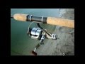 Отчёт о рыбалке. Матчевая рыбалка. Ловля карася / Fishing report. Match fishing. Catching crucian