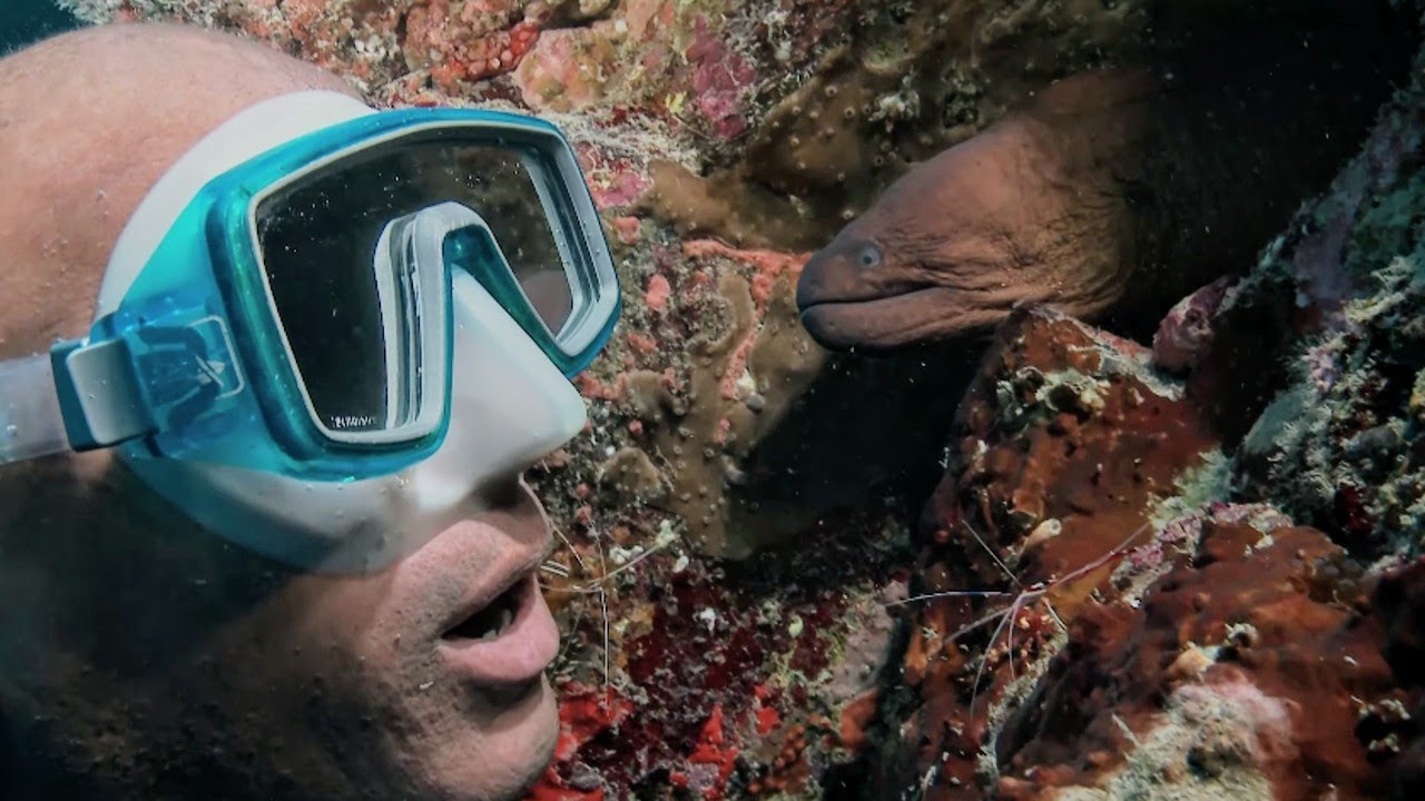 Maurice et Rodrigues, les perles des Mascareignes