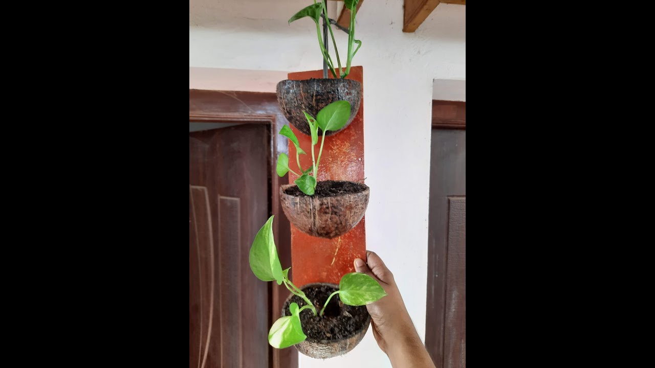 Repurpose Coconut Shell into a Wall Mount Planter | Tamil | PlantishQ | 