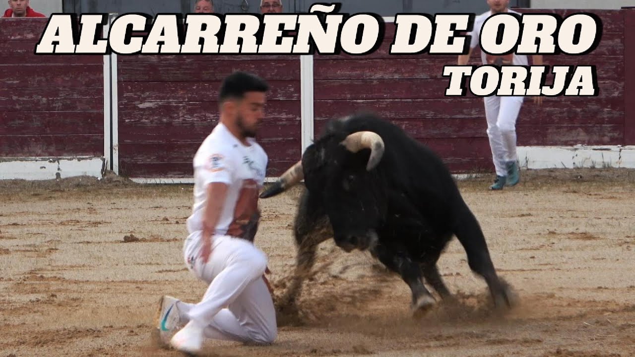 😊¡ESPECTACULAR QUIEBRO!😊 SEMIFINAL ALCARREÑO DE ORO 2022 EN TORIJA